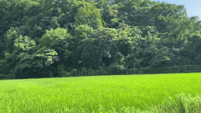 安全・安心